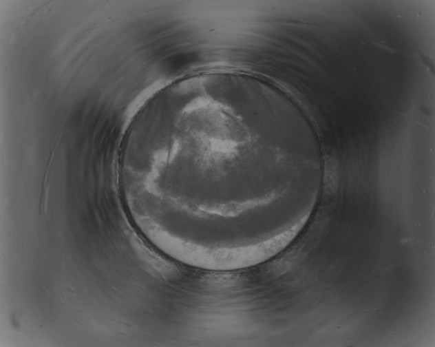 X0000103291474200809261238