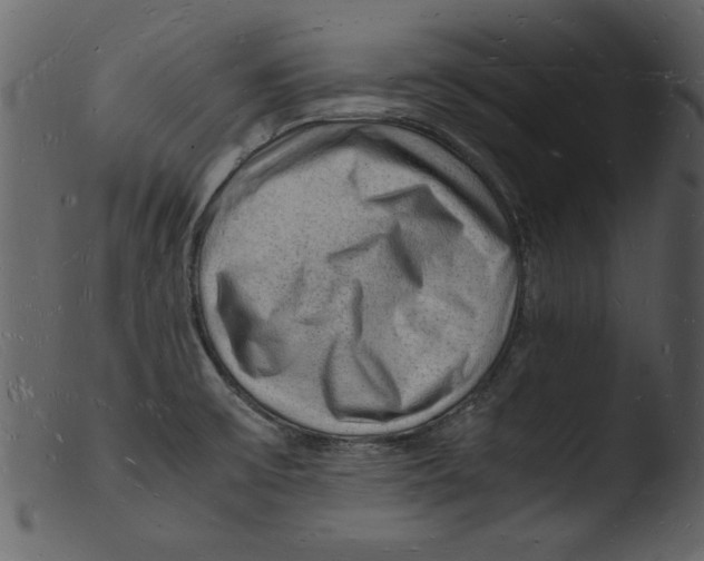 X0000103291475200809261238