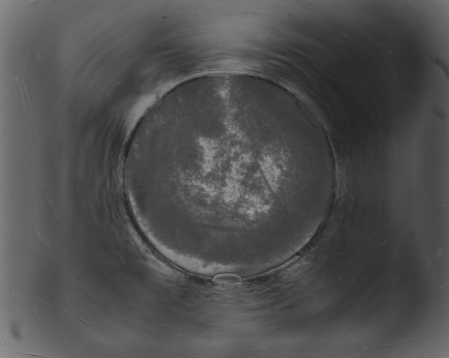 X0000103291477200809261238