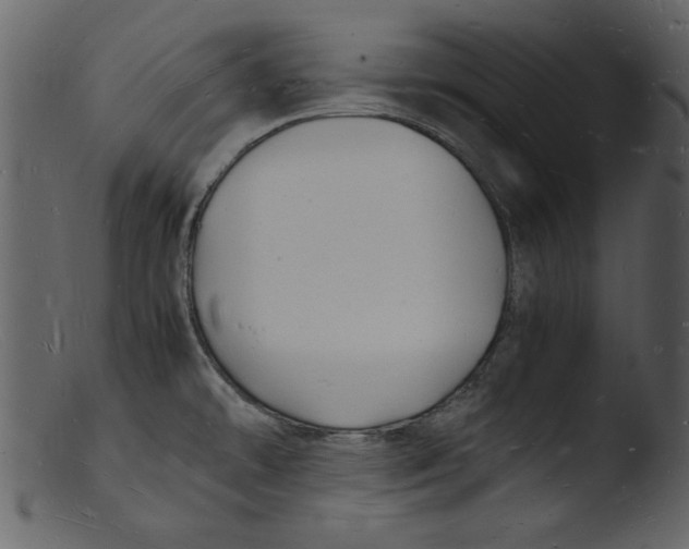 X0000103291478200809261238