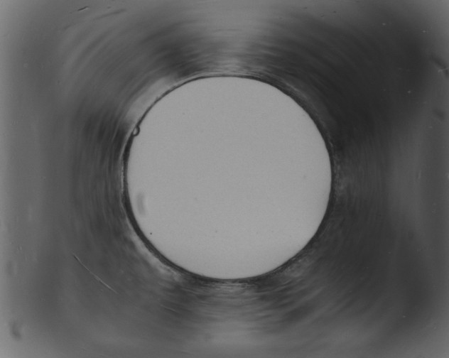 X0000103291479200809261238