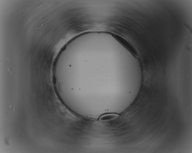 X0000103291480200809261238