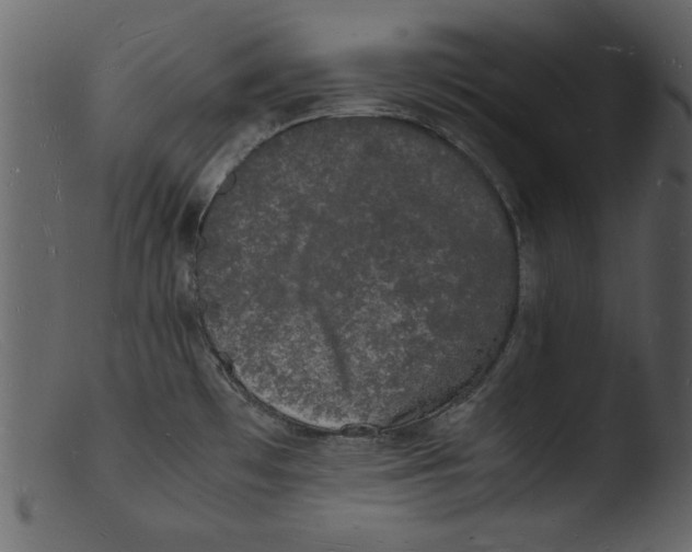 X0000103291481200809261238