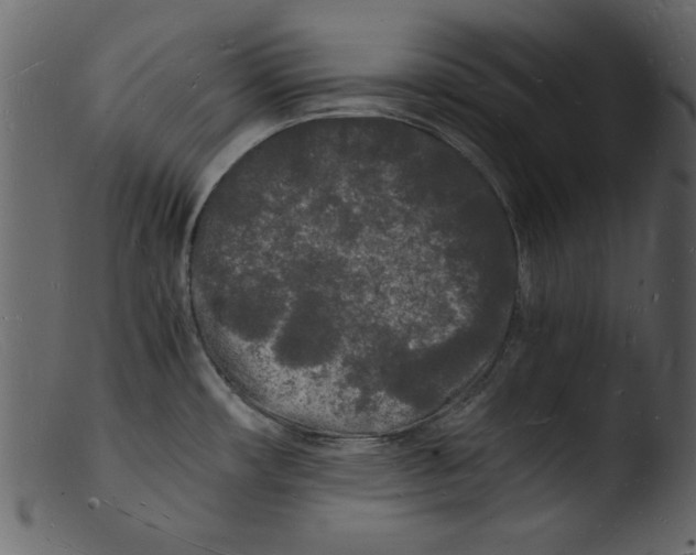 X0000103291482200809261238