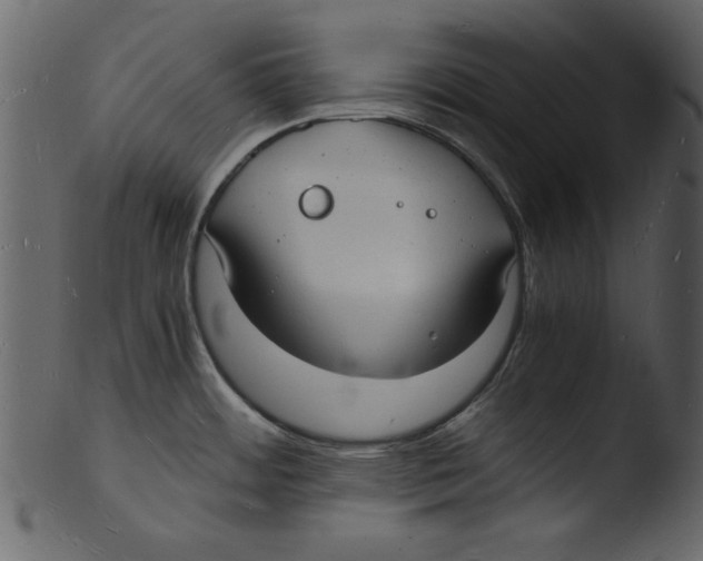 X0000103291484200809261238