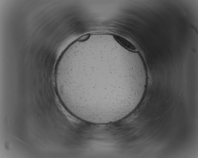 X0000103291485200809261238