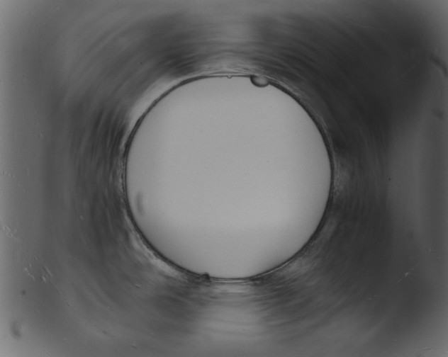 X0000103291486200809261238