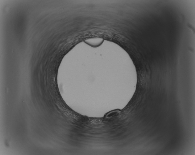 X0000103291489200809261237