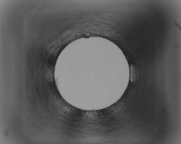 X0000103291491200809261237