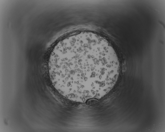 X0000103291496200809261237