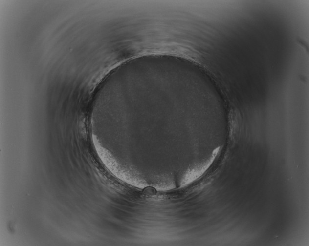 X0000103291497200809261237