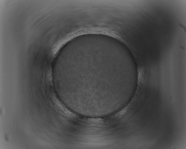 X0000103291498200809261237