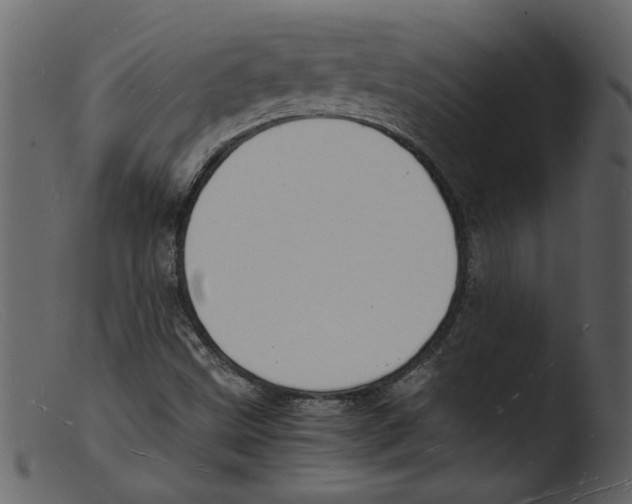 X0000103291499200809261237