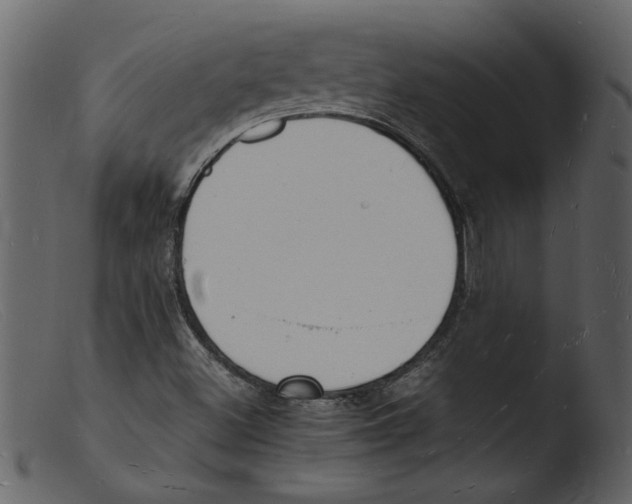 X0000103291500200809261237