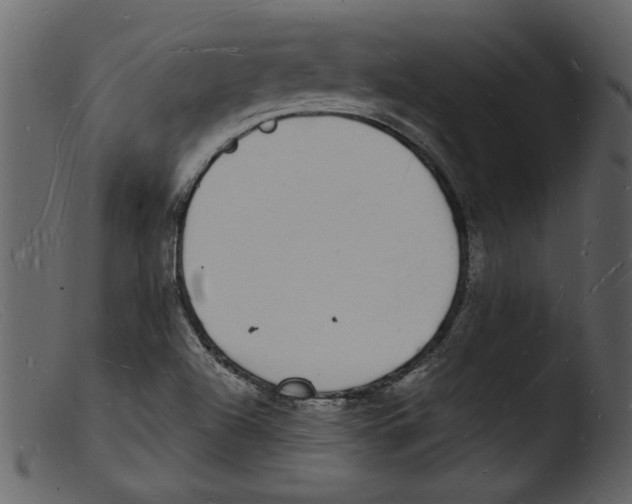 X0000103291504200809261237