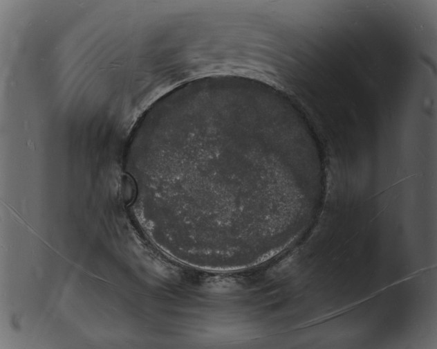 X0000103291505200809261237