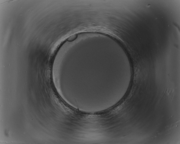 X0000103291506200809261237