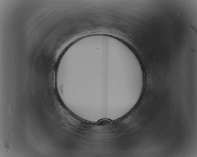 X0000103291510200809261237