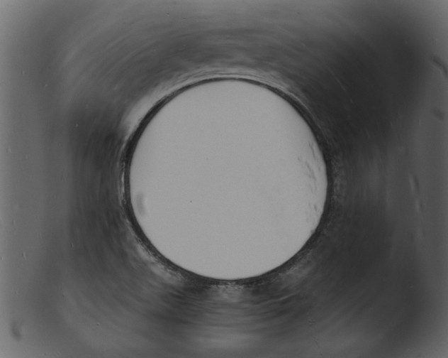 X0000103291511200809261237