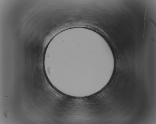 X0000103291512200809261237