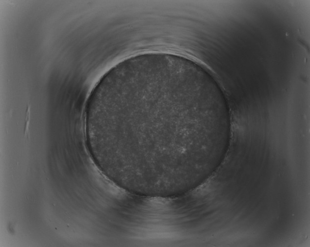 X0000103291514200809261237