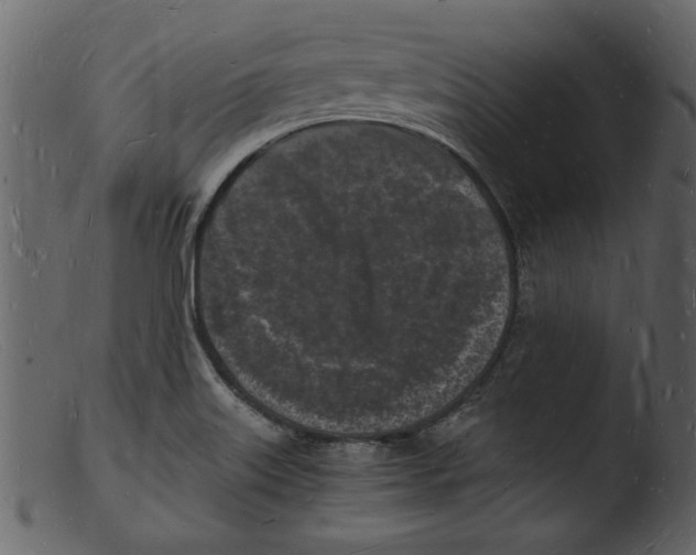 X0000103291515200809261237