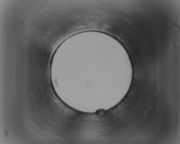 X0000103291516200809261238