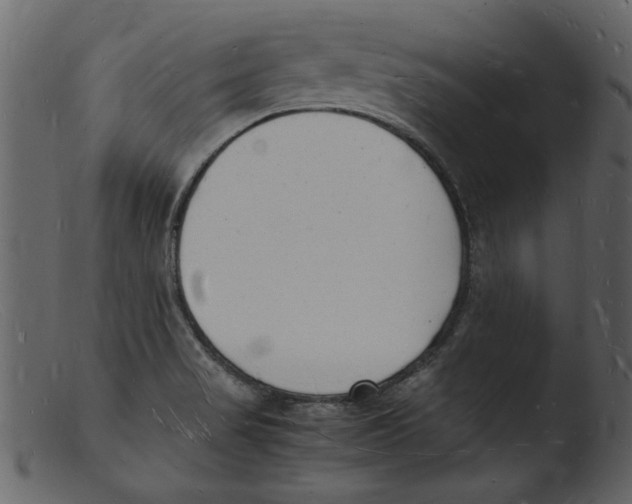 X0000103291517200809261238