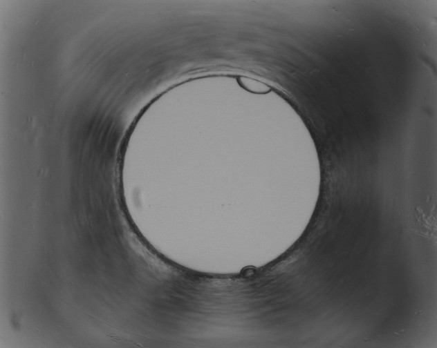 X0000103291518200809261238