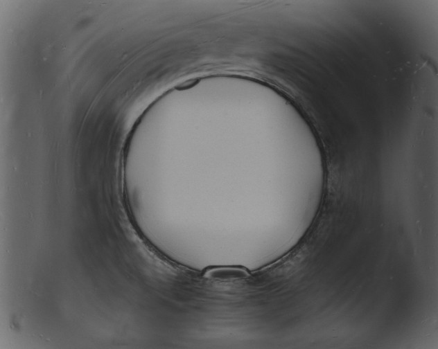 X0000103291520200809261238