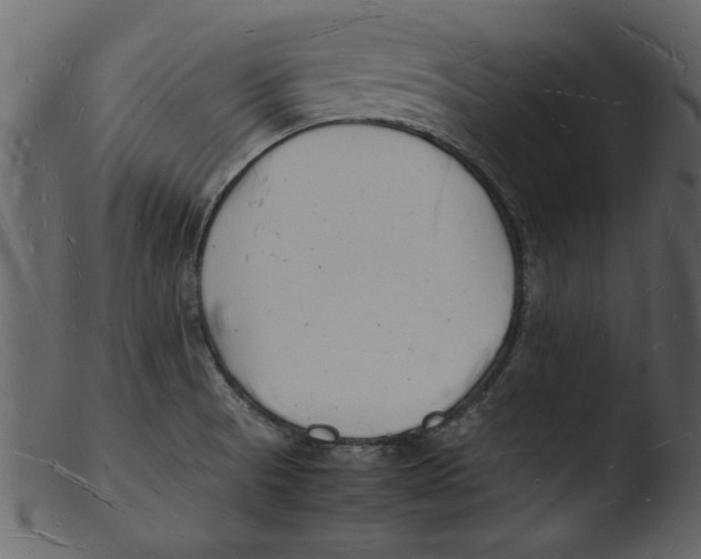 X0000103291521200809261238