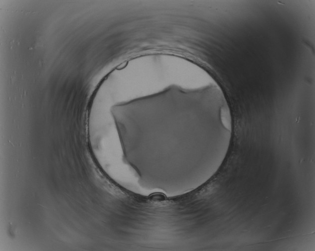 X0000103291522200809261238