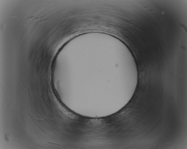 X0000103291523200809261238