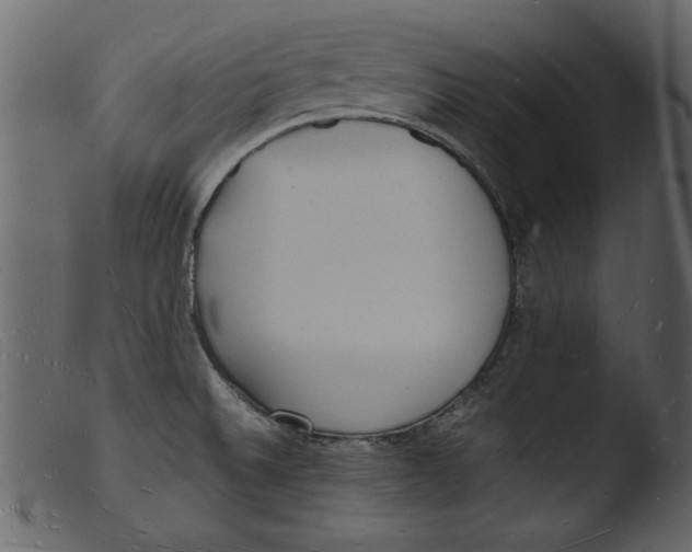 X0000103291524200809261238