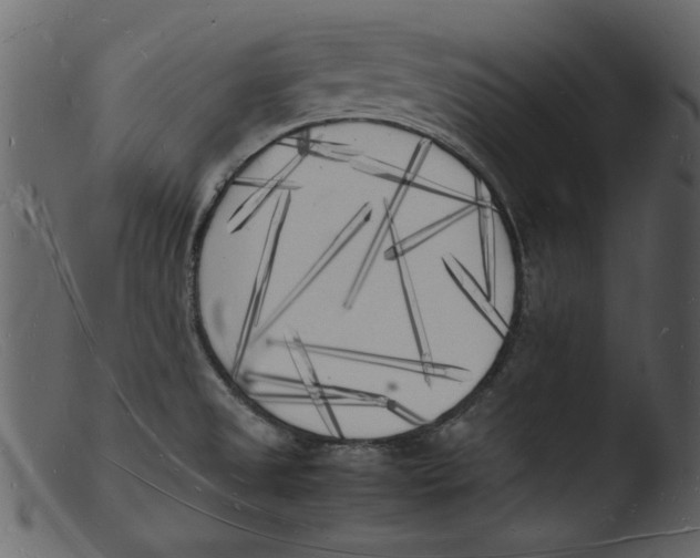 X0000103291525200809261238