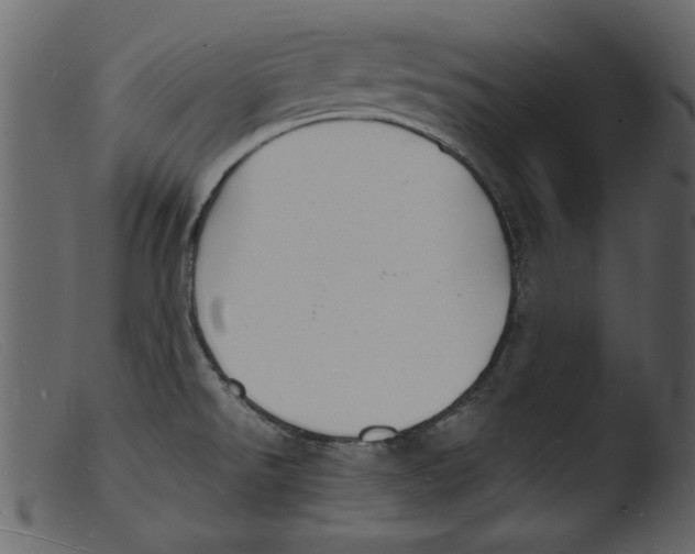 X0000103291526200809261238