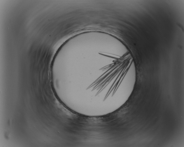 X0000103291527200809261238