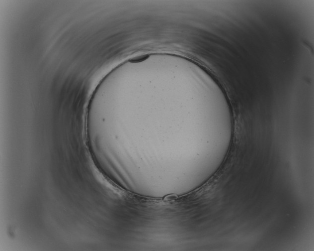 X0000103291528200809261238