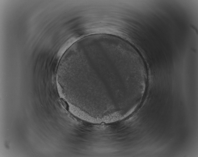 X0000103291529200809261238