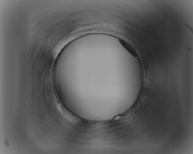 X0000103291530200809261238