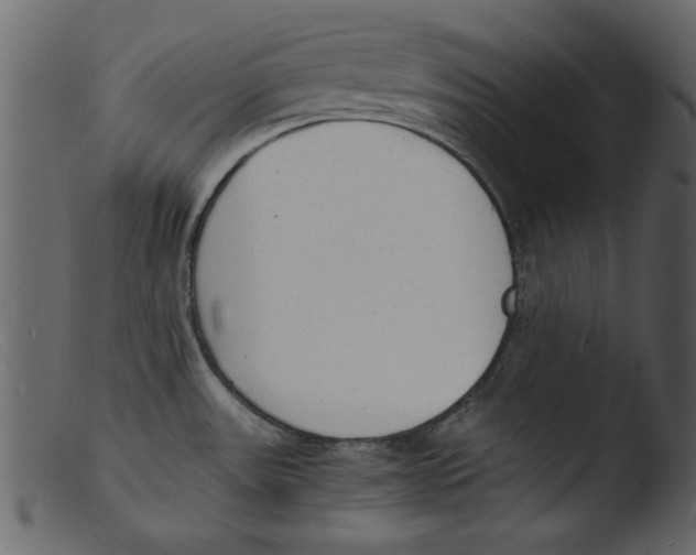 X0000103291531200809261238