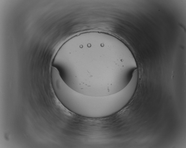 X0000103291532200809261238