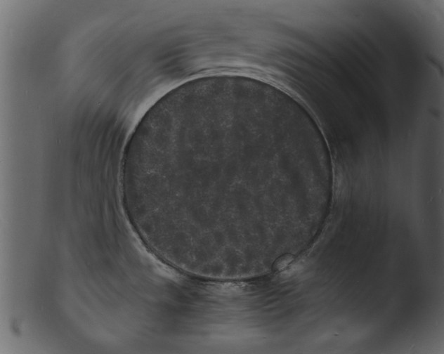 X0000103291533200809261238