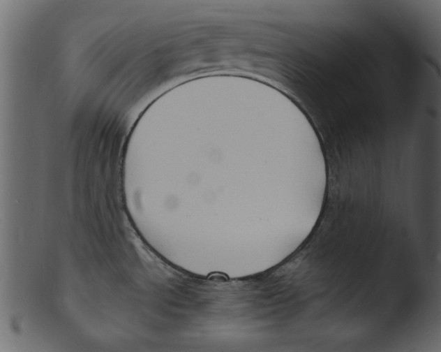 X0000103291534200809261238