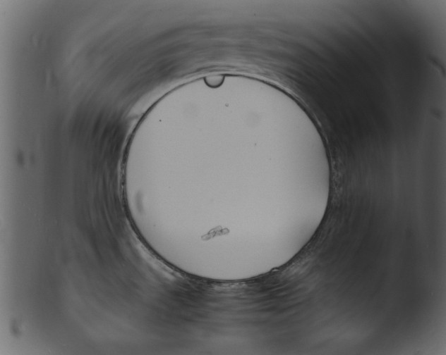 X0000103291535200809261238