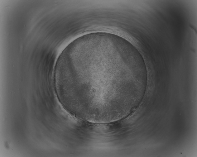 X0000103291536200809261238