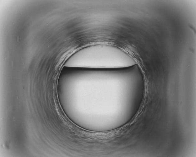 X0000103300001200808291141