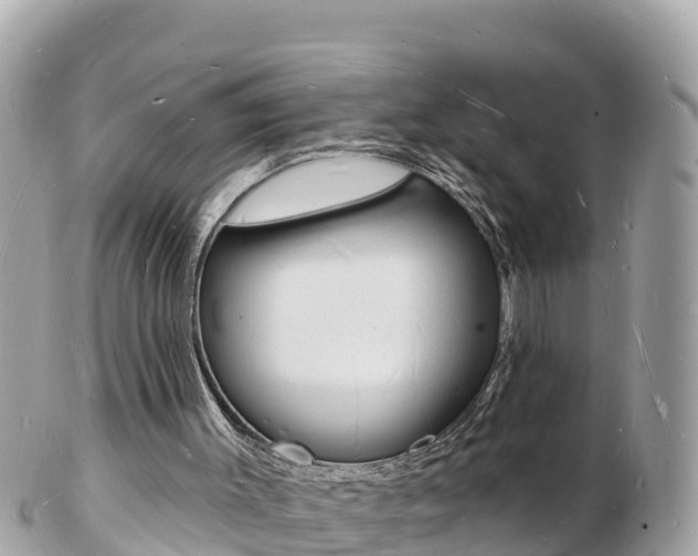 X0000103300003200808291141