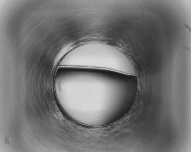 X0000103300004200808291141