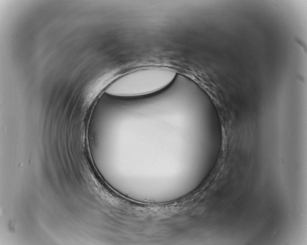 X0000103300005200808291141